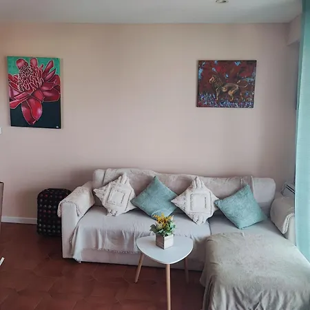 Les Mimosas *